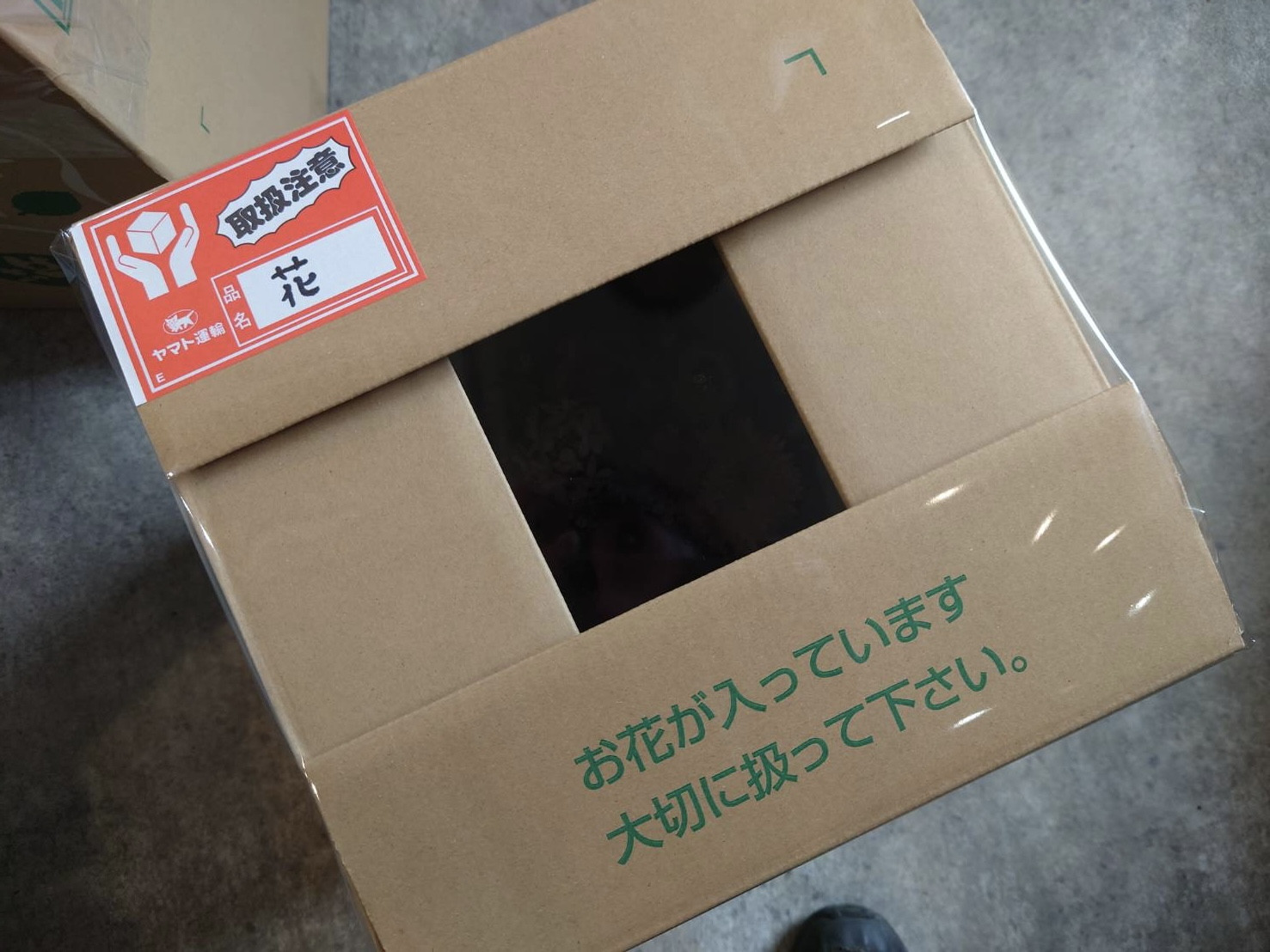 配達業者の方にもより慎重に扱っていただけるよう、中が見えるような梱包にしております。