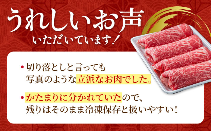 【出荷数10万件突破!】圧倒的リピート率の牛肉切り落とし