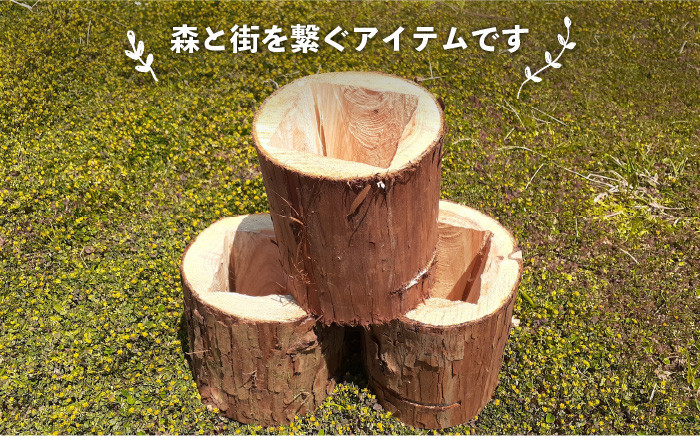 糸島 植木鉢 植物 花 インテリア ガーデニング