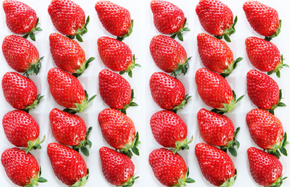 吉次 いちご 約700g (24~33粒) 