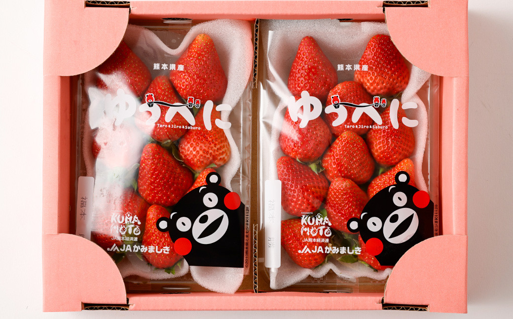 【2023年11月下旬発送開始】完熟 朝どれ 農家直送「ゆうべに」3L 250g×2パック 計500g 苺 イチゴ 熊本県産