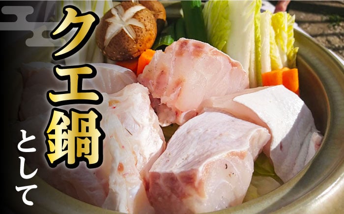 くえ 高級魚 アラ 魚 クエ クエ鍋 刺身 天然 希少 冷凍 対馬 長崎 九州 つしま 対馬市 海鮮