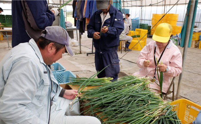 ねぎ 葱 調味油 ねぎ油 おかず 調味料/惣菜