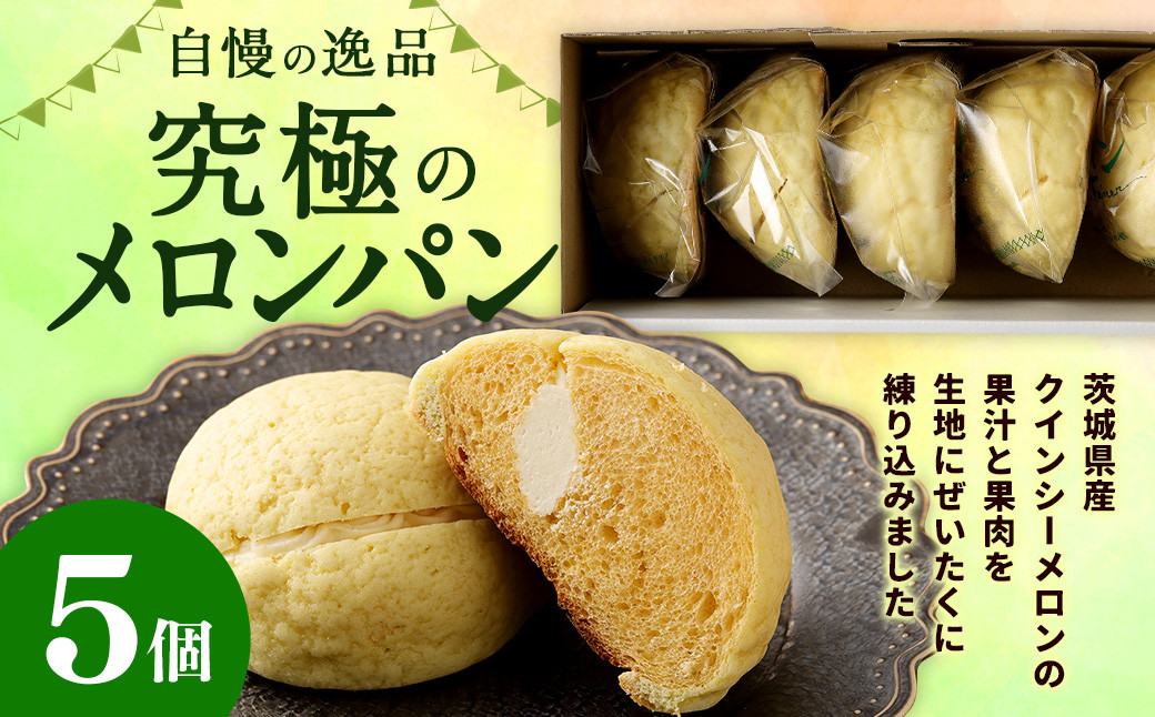 H-13 自慢の逸品!究極のメロンパン(5個)