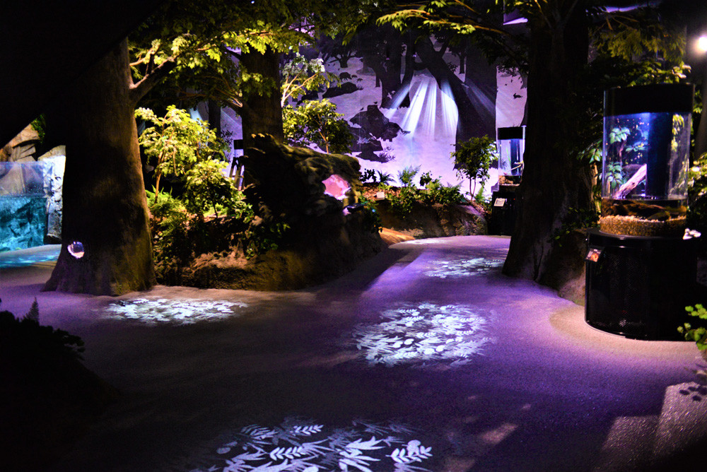 高知県立足摺海洋館「SATOUMI」（内観）