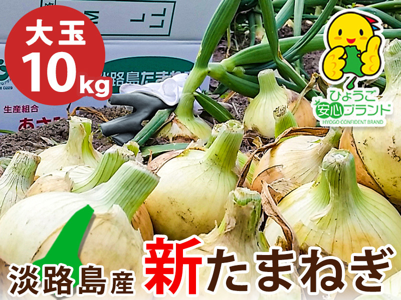 【あさひサンファーム】【大玉10㎏】兵庫県認証★特別栽培★淡路島新たまねぎ
