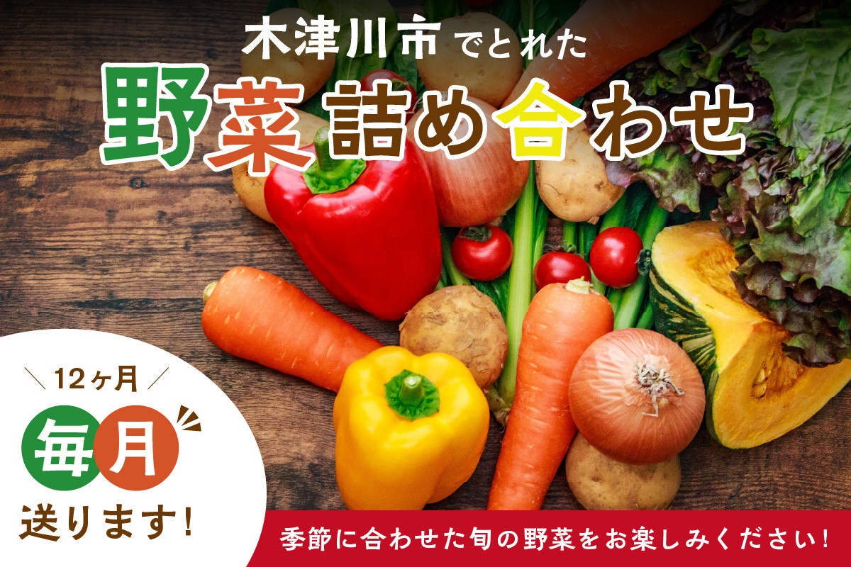 <京都産>木津川市でとれた野菜詰め合わせを12か月毎月送ります!