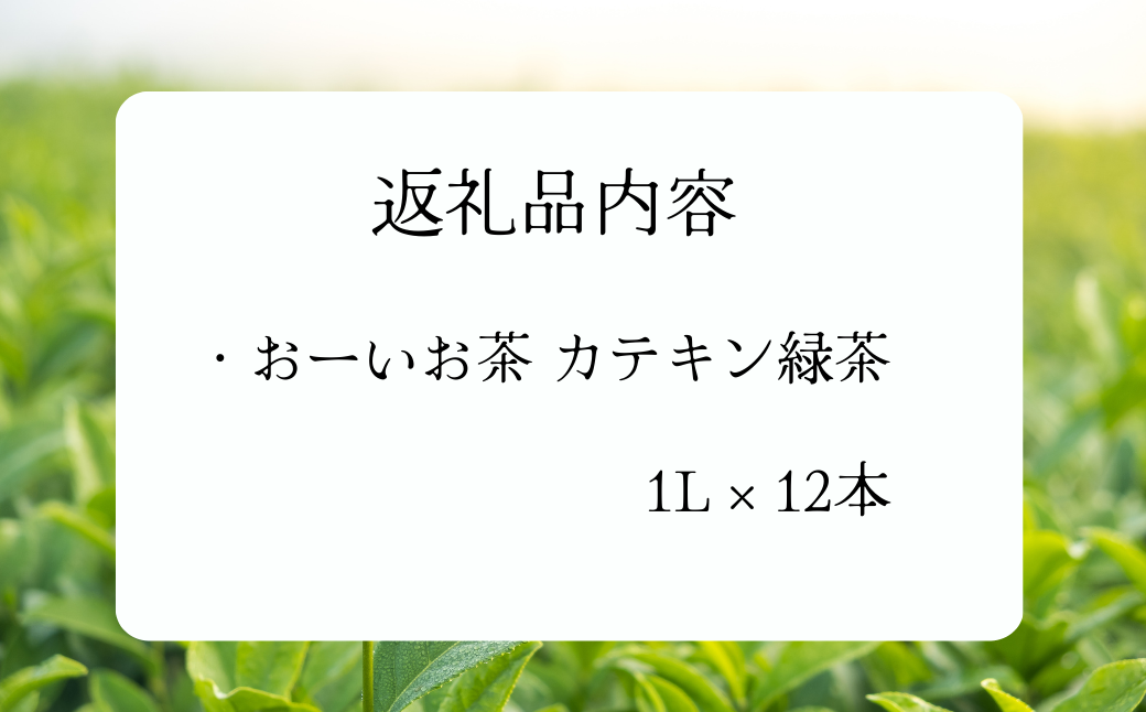 A-520 おーいお茶カテキン緑茶 1L×12本 ペットボトル 自販機用 伊藤園