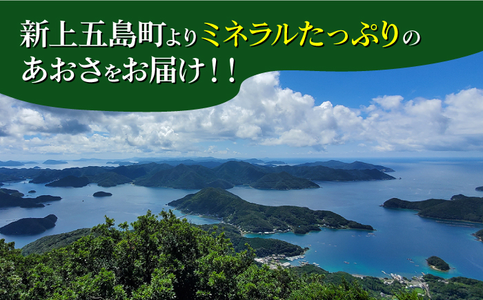 【全3回定期便】 冷凍 生あおさ 50g×10袋 計500g / 海藻 ヒトエグサ 海産物 上五島