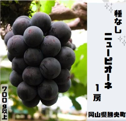 写真はイメージです。