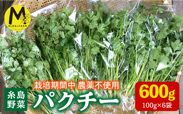 国産 パクチー エスニック アジアン オーガニック野菜
