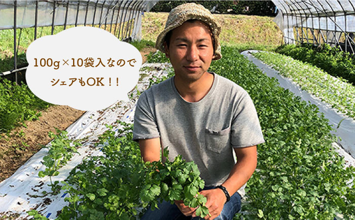 国産 パクチー エスニック アジアン オーガニック野菜