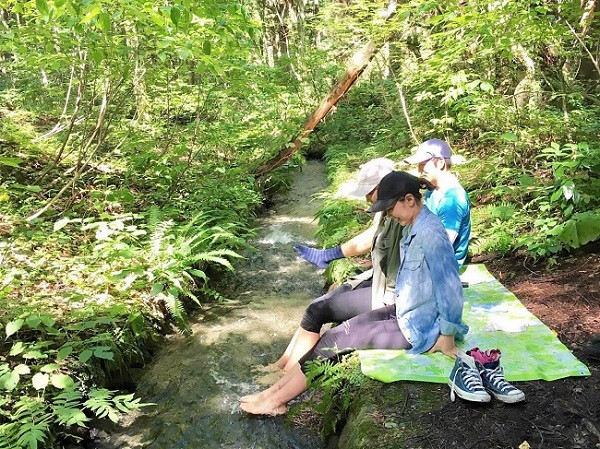 自然の小川で水療法