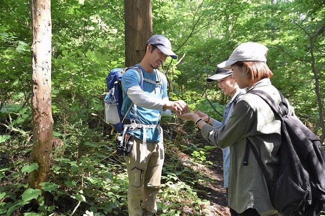 植物の自然観察