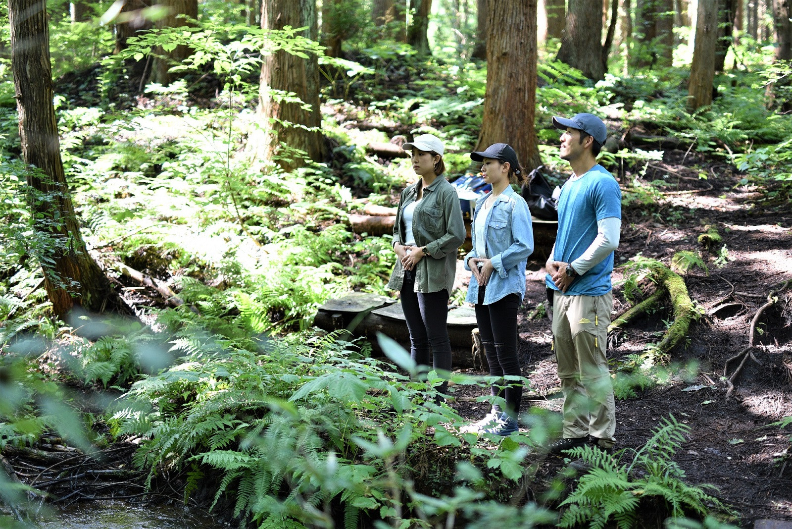 森の中で深呼吸