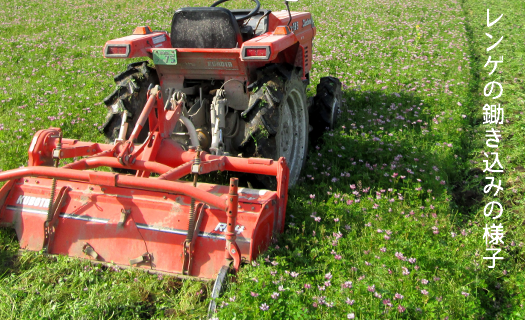 米 お米 こめ コメ ご飯 白米 夢つくし 5kg 国産 ギフト 贈り物 レンゲ栽培 県産米 減農薬 エコ 農産物 久楽農園