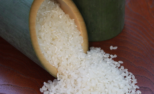 米 お米 こめ コメ ご飯 白米 夢つくし 10kg 国産 ギフト 贈り物 レンゲ栽培 県産米 減農薬 エコ 農産物 久楽農園