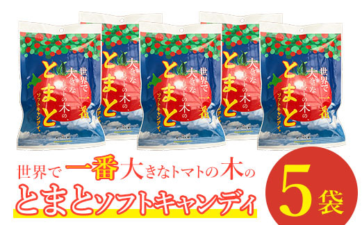 世界で一番大きなトマトの木のとまとソフトキャンディ×5袋