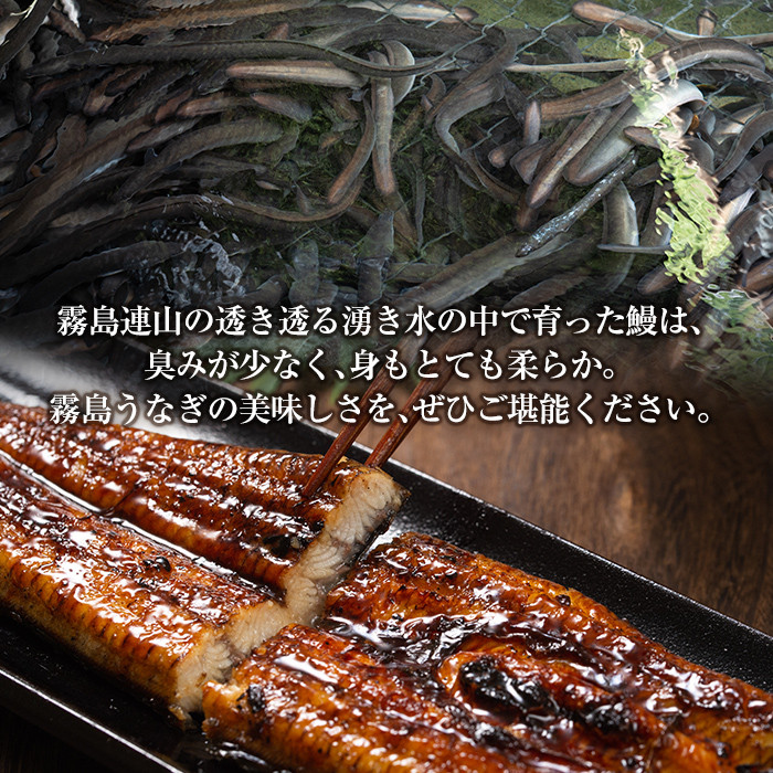 敷地内にある水源。初夏にはホタルが飛び交います。