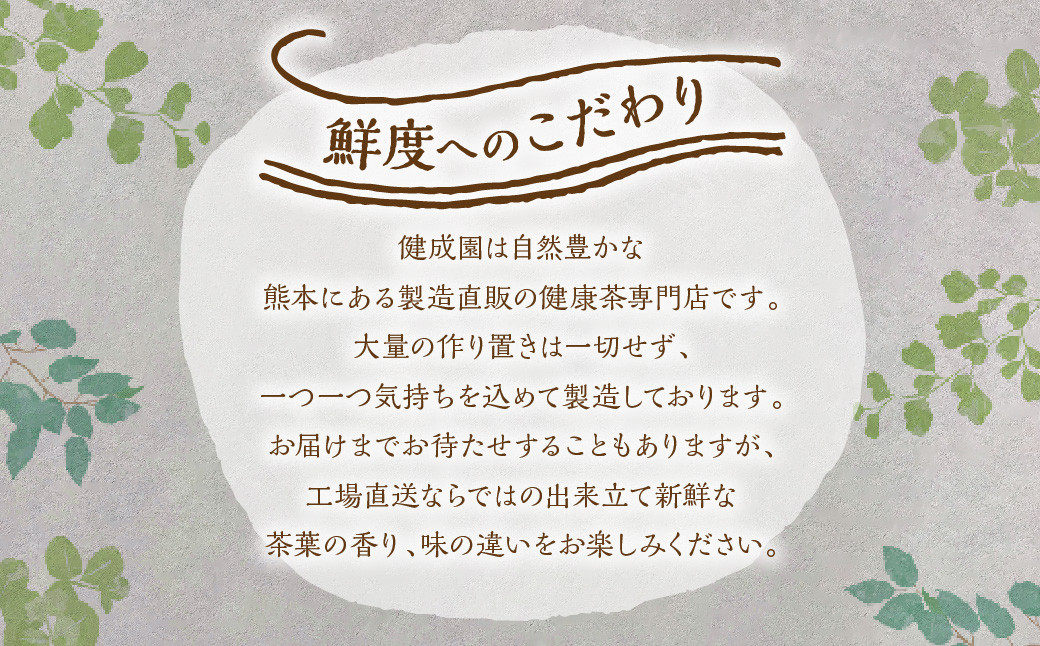 【年6回定期便】オーガニックルイボスティー　計12袋(1回あたり2袋:260包入り)