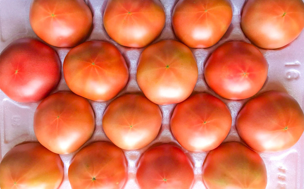 九重町産 大玉トマト 約4kg (16個～25個) トマト 野菜