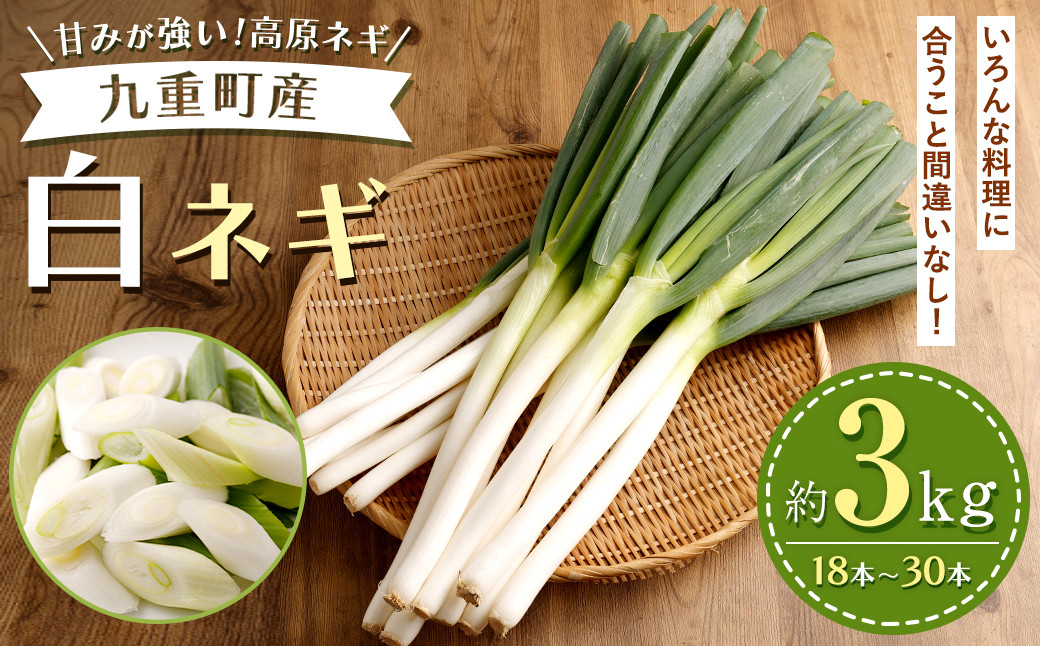 九重町産 白ネギ 約3kg（18本～30本） ネギ 高原ネギ 野菜