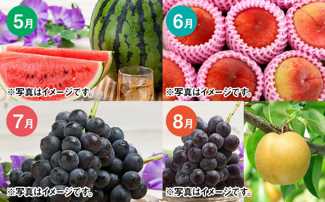 【年12回定期便】吉次園の熊本 フルーツ 定期便 