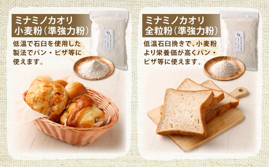 ミナミノカオリ 小麦粉/全粒粉・チクゴイズミ 小麦粉/全粒粉 セット 1kg×4個 ( 合計4kg )