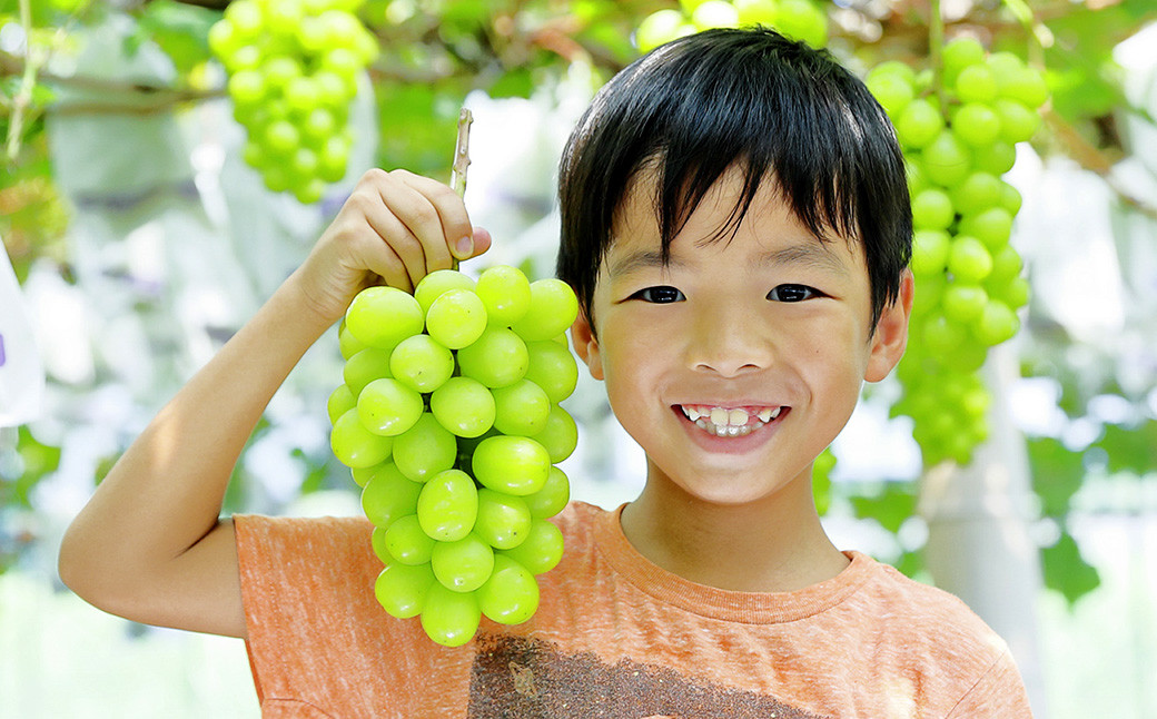 シャインマスカット1房 約600g