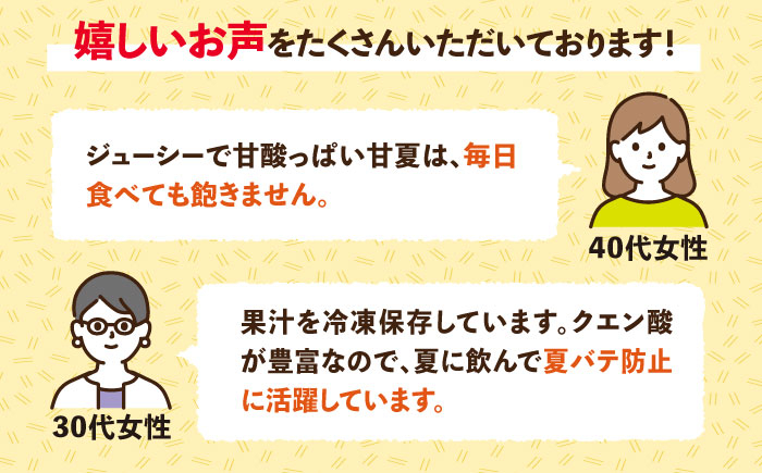 甘夏 あまなつ みかん 有機栽培 栽培期間中 農薬不使用 国産 ミカン ギフト