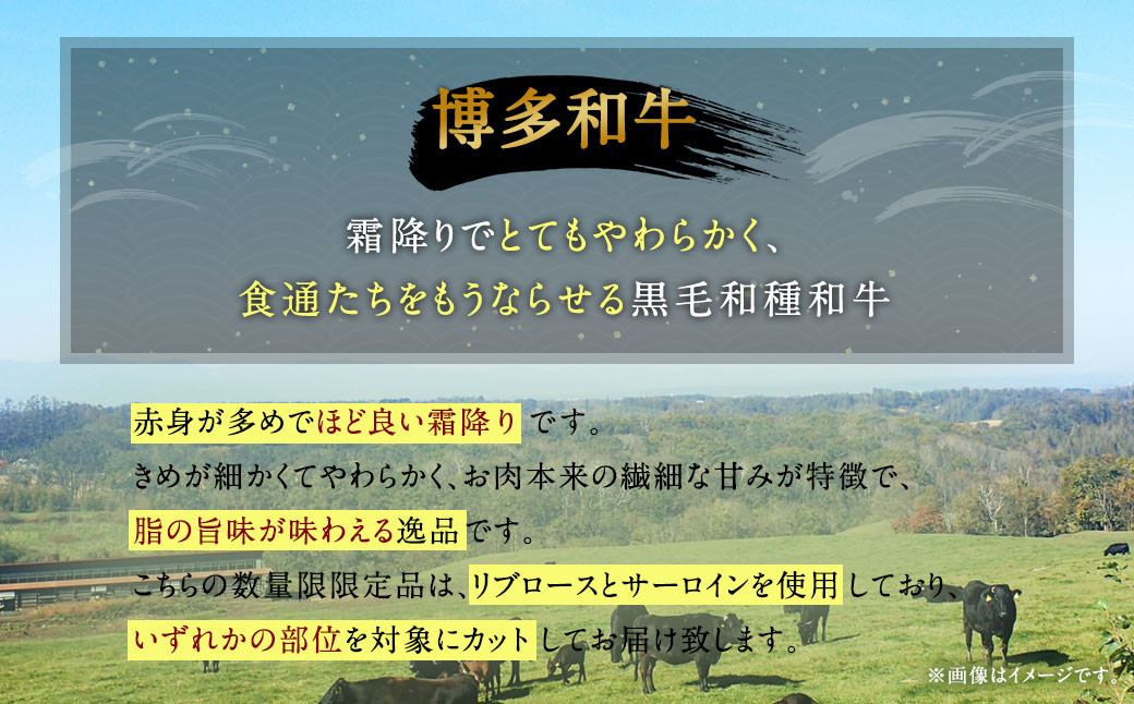 【数量限定博多和牛】ロース ステーキ用 計500g (2枚入) 牛肉 黒毛和種 和牛 ステーキ 霜降り 肉 国産 福岡県産