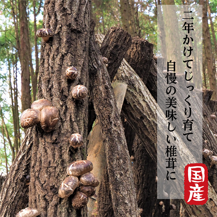 敷地内にある水源。初夏にはホタルが飛び交います。