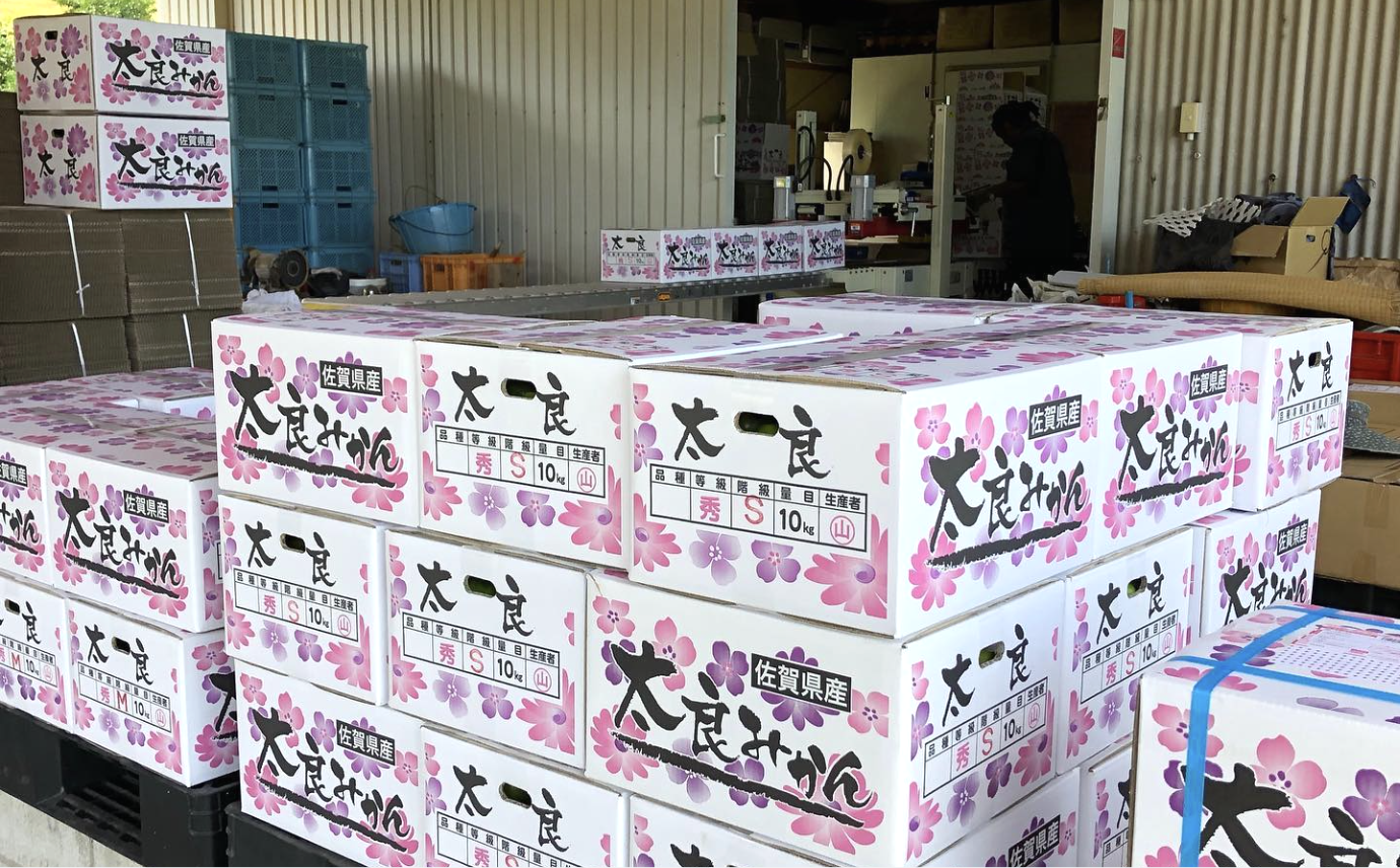 実際のお届けは4kgとなります。