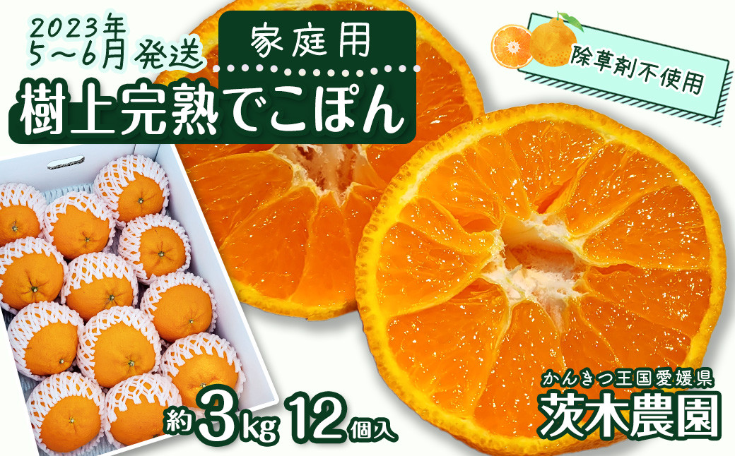画像はイメージです