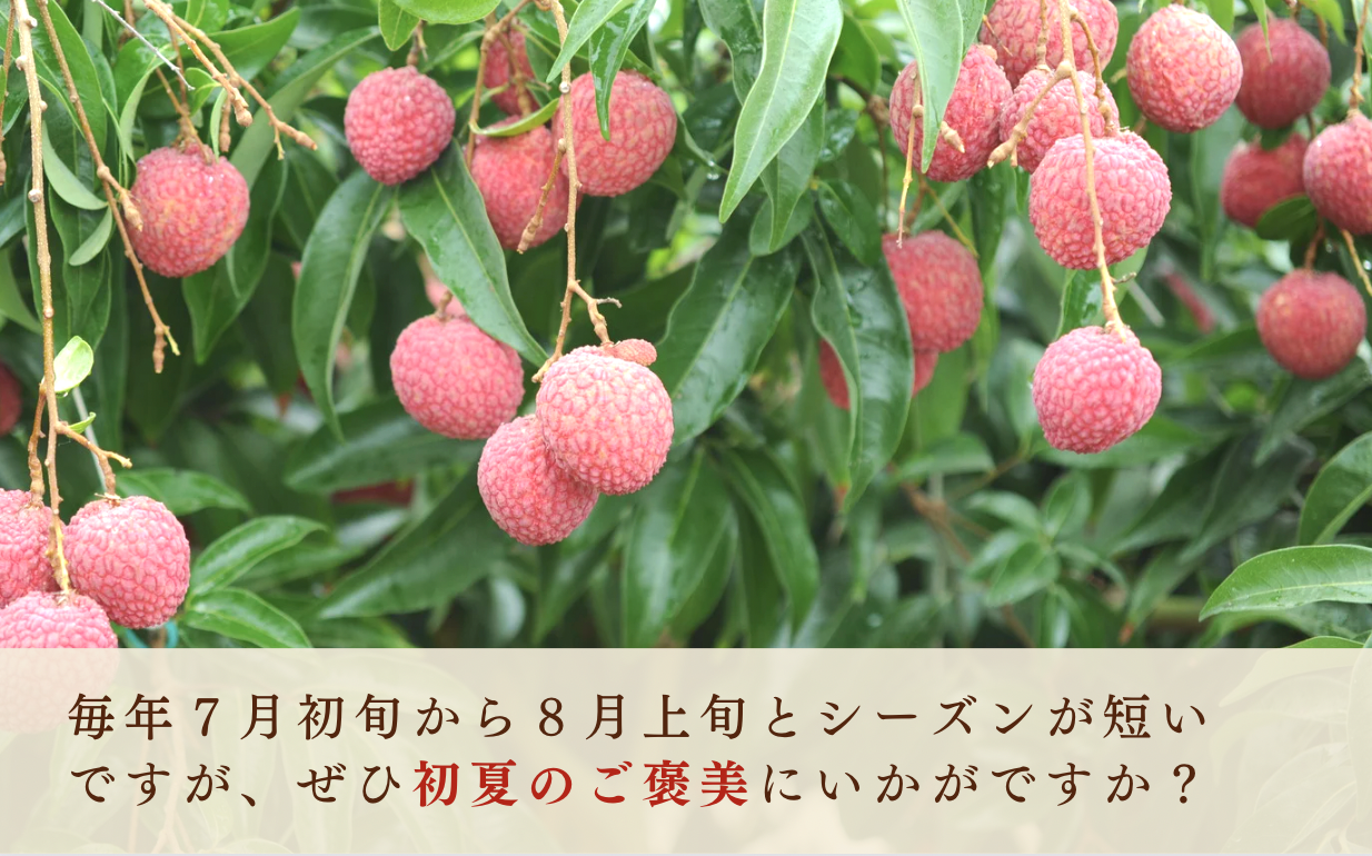 画像はイメージです。