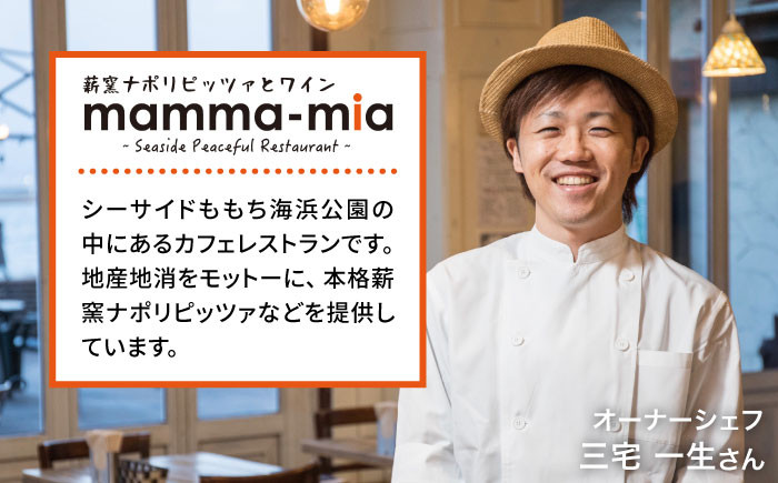 ピザ pizza ナポリピザ ナポリピッツァ 冷凍ピザ マンマミーア