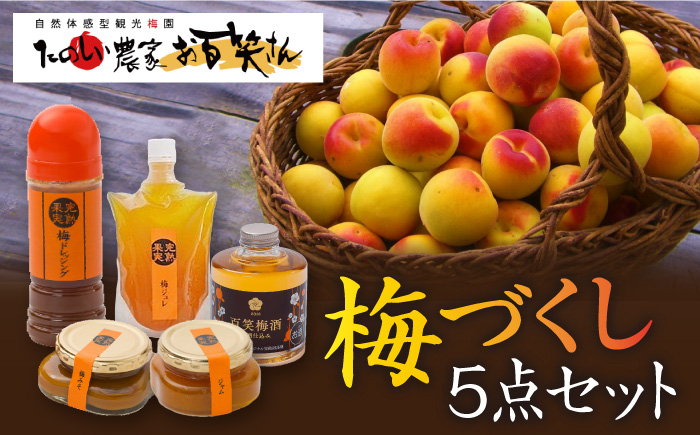 【お百笑さん おすすめ5点セット】梅酒 梅ジャム 梅ドレッシング 梅ジュレ 梅みそ /お百笑さん [UAZ006] セット 加工