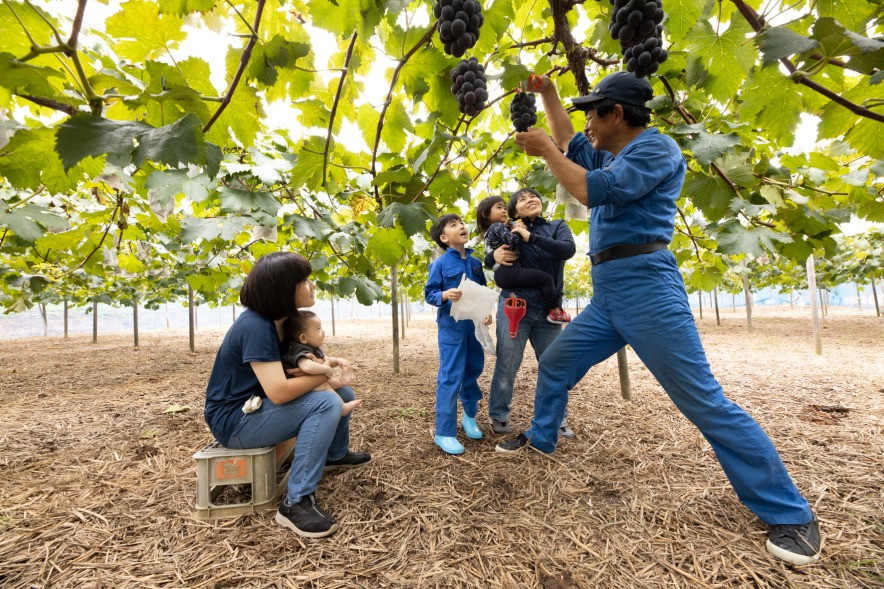 村本さん一家。お父さんを筆頭に、みんなで楽しくぶどう作りを行っています
