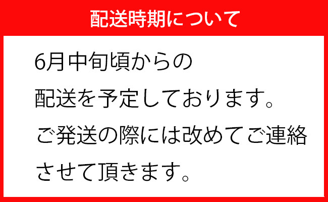  徳之島 天城町 パッションフルーツ2kg(家庭用)