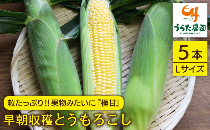 「果物みたいな甘さ」と「柔らかい粒」がぎっしり詰まったとうもろこしです！！