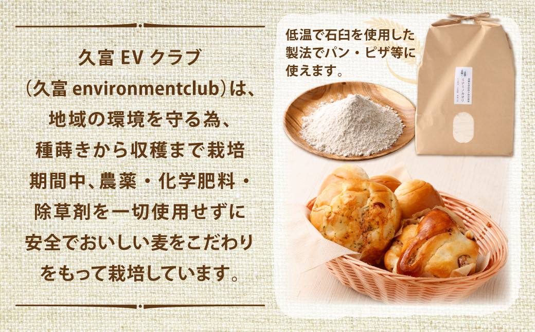 ミナミノカオリ 小麦粉 5㎏ 福岡県産 準強力粉 パン ピザ