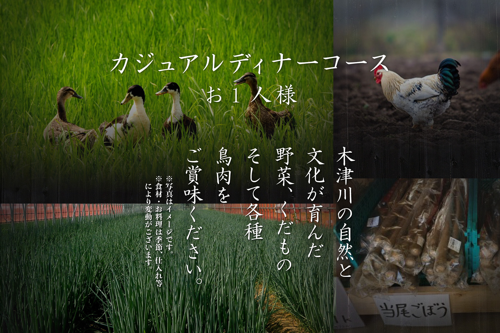 とり肉と京野菜を【東京新宿】でカジュアルに味わう1名様焼鳥コースお食事券