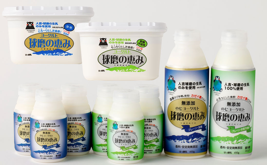 球磨の恵み ヨーグルト 2パック & ドリンク ヨーグルト 8本 セット 乳製品