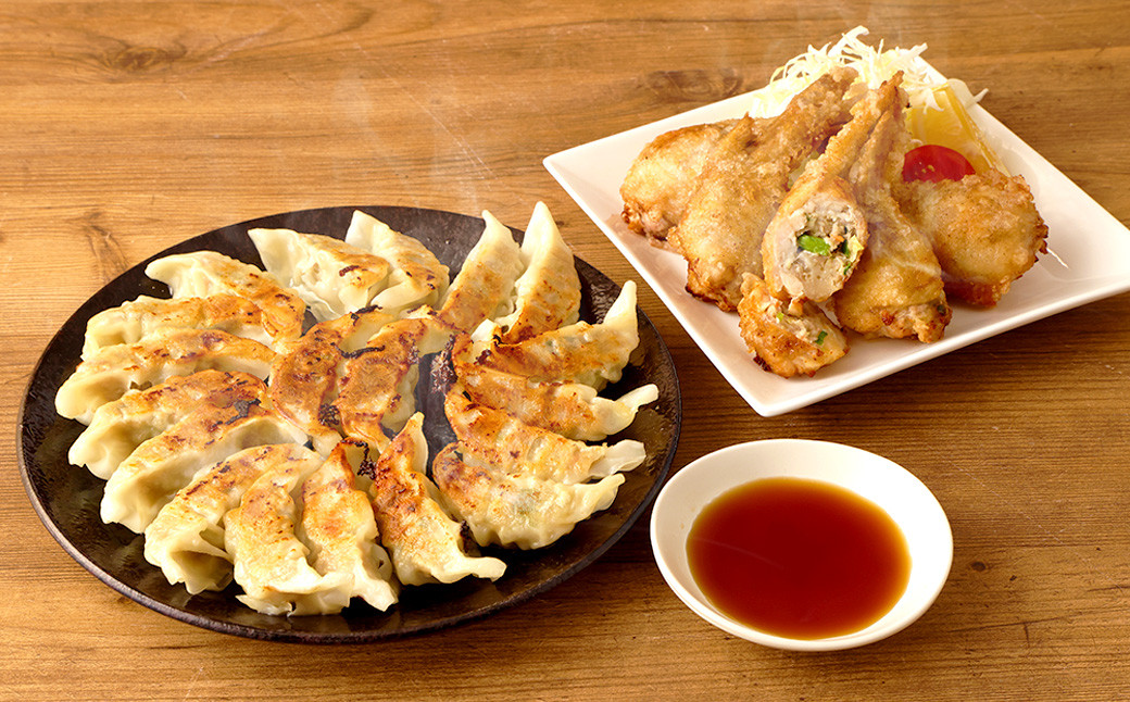 鹿児島 生ぎょうざ (50個)・手羽ぎょうざ (5本)セット 餃子のたれ付き