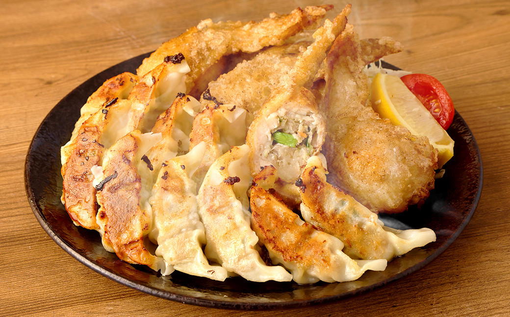 鹿児島 生ぎょうざ (50個)・手羽ぎょうざ (5本)セット 餃子のたれ付き