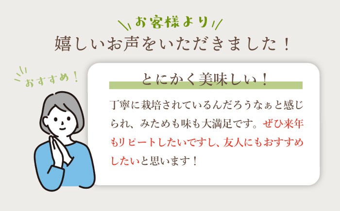 シャインマスカット 3～4房（約1.5～2kg）