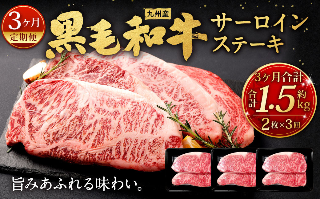 【3ヶ月定期便】 九州産 黒毛和牛 サーロインステーキ 合計約1.5kg (約250g×2枚×3回)