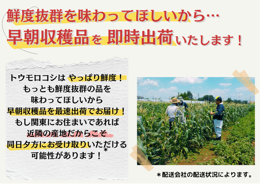 鮮度抜群を味わってほしいから、承ったお品を大急ぎで出荷していきます。もし関東にお住まいであれば、同日夕方のお届けの可能性も…！