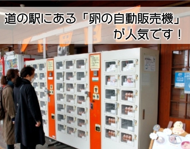 【十勝】新鮮なたまごを皆様の食卓へ! ピータンたまご (白玉L・30個+割れ保証品10個)