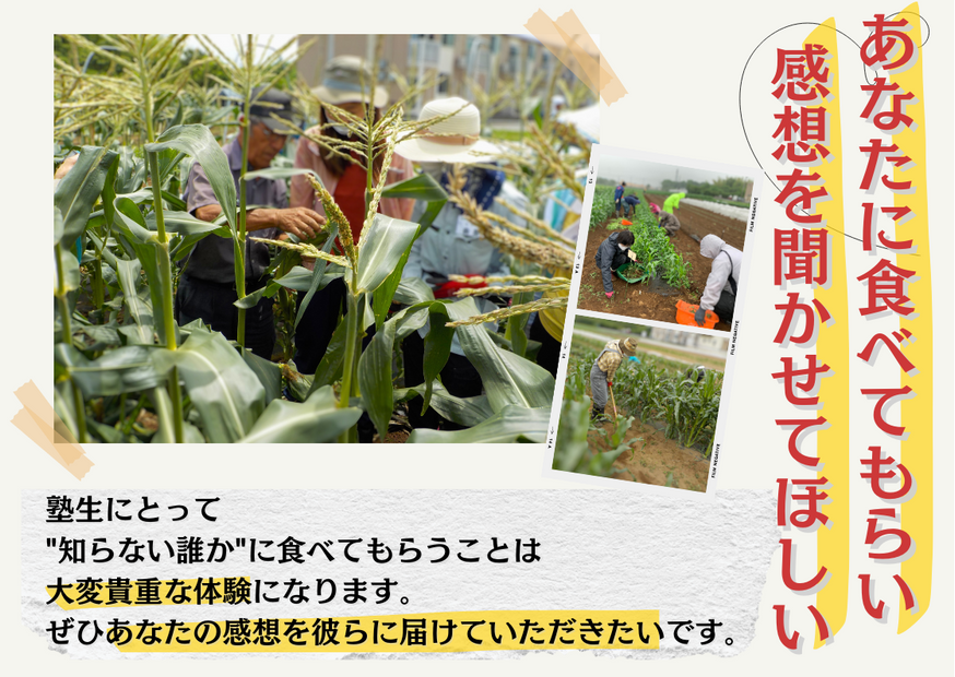 塾生にとって"知らない誰か"に食べてもらうことは大変貴重な体験になります。ぜひあなたの感想を彼らに届けていただきたいです。